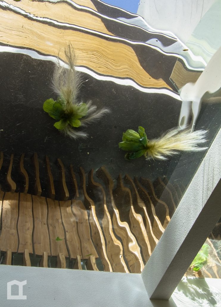 30_Photo by Parham Taghioff گروه ساختمانی ویرا